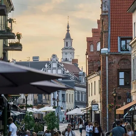 Apartment Cozy In The Heart Of Old Town Kaunas